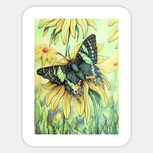 Urania Ripheus Butterfly on Rudbeckia Flower Sticker